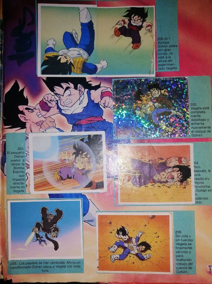 DRAGON BALL Z ALBUM SALO Y NAVARRETE gohan